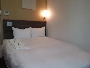 Sotetsu Fresa Inn Shimbashi Hibiyaguchi Tokyo Japonya